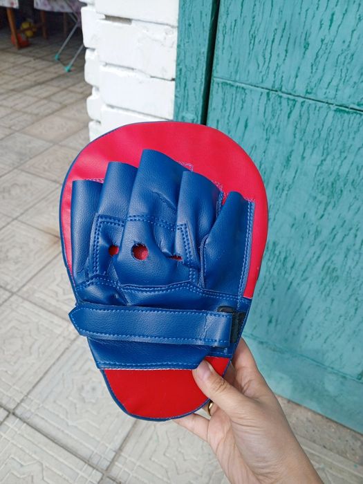 Лапы для каратэ, бокса