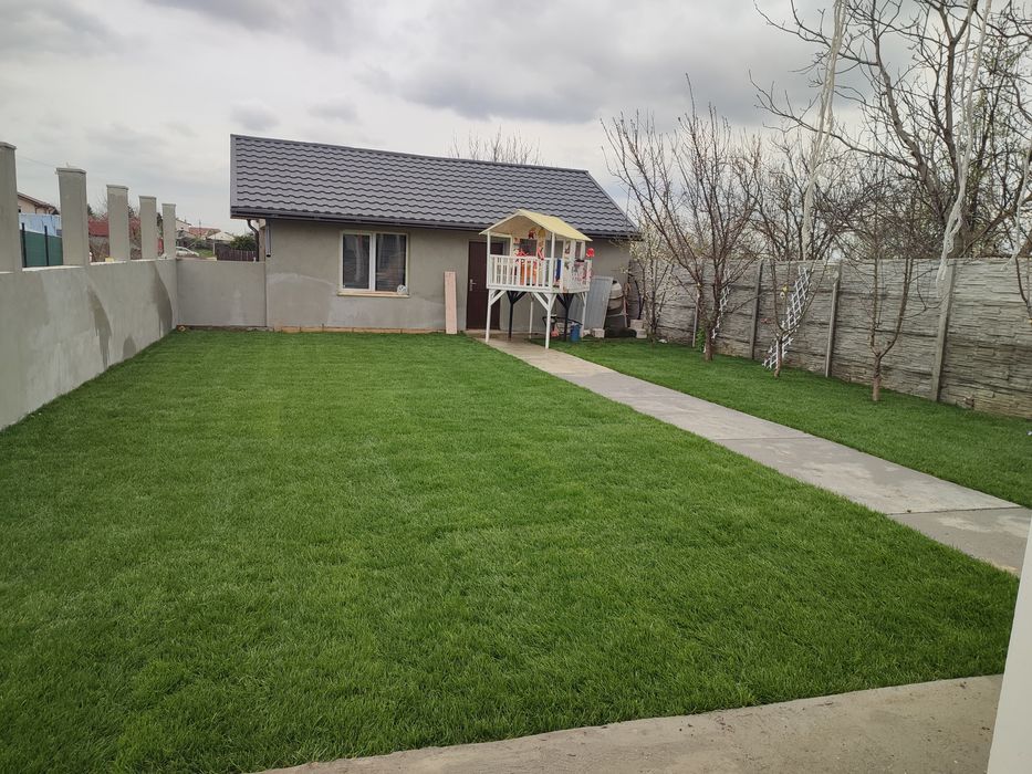 Producător gazon rulou 24 de lei m2 transport și montaj inclus preț