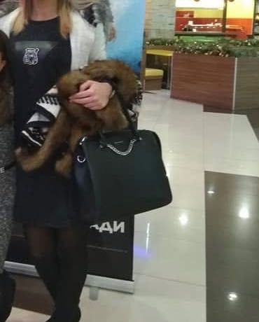 Рокля тъмно син цвят с много блясък