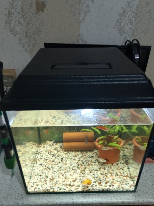 Продам Аквариум 40л.С рыбками.