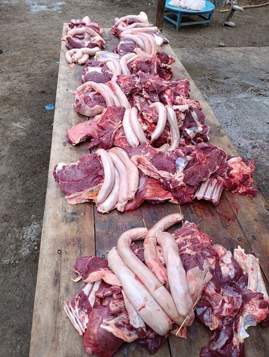 Семіз жылқылар сатылады