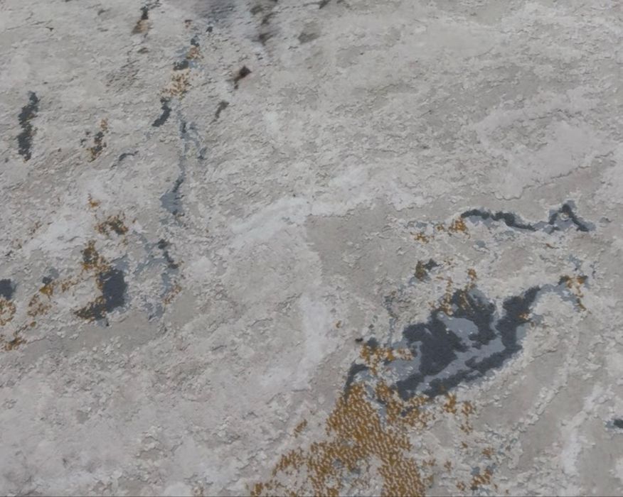 Продам ковры б/у в хорошем состоянии