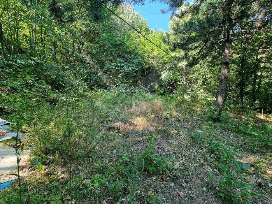 Продава се Парцел в с. Бачково, Област Пловдив - 529 кв.м за 18 €/кв.м - Снимка #1