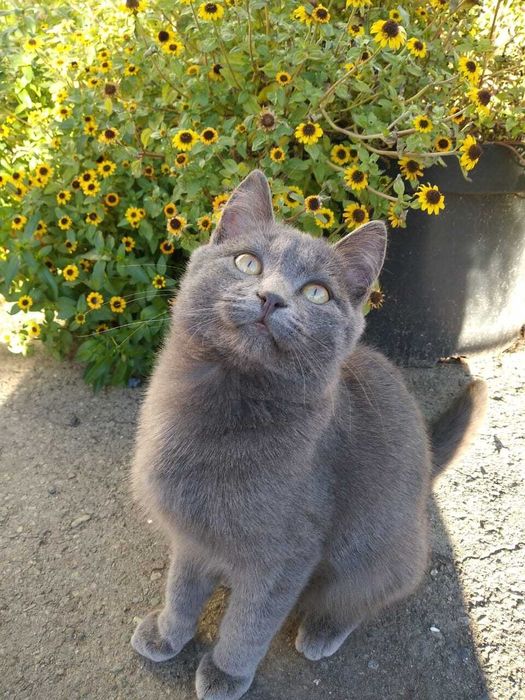 Только в добрые ручки!