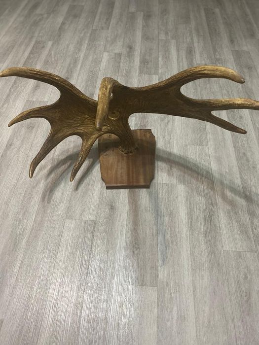 Украшения для бани кафе