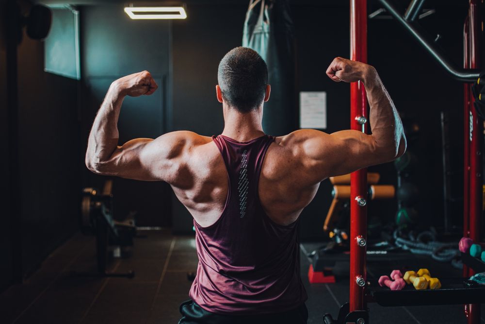 Antrenor personal&online coaching