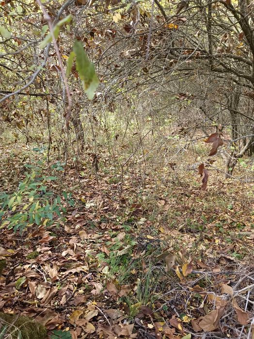 УПИ Долни оманци Р