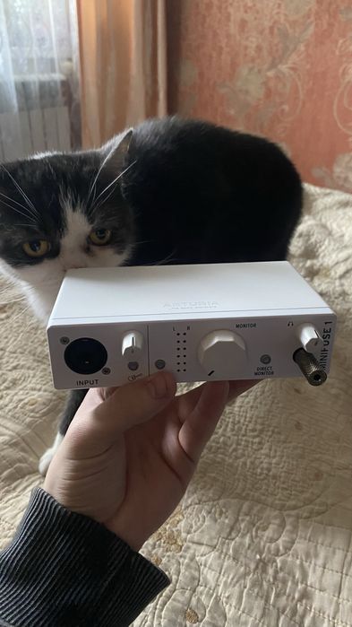 Arturia Minifuse 1 Аудиокарта