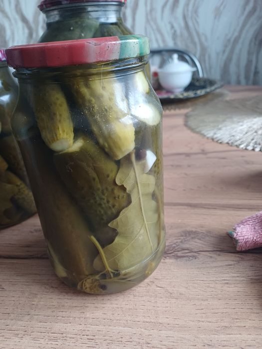 Продам соленья 2025 года