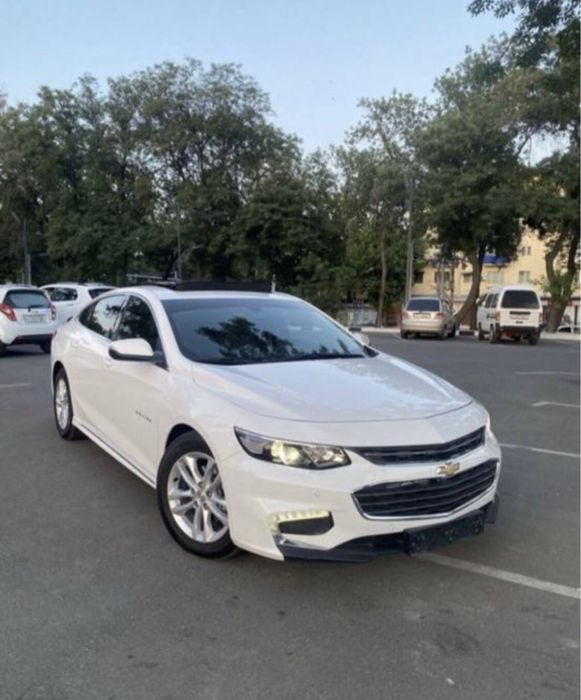 Экскурсия в горы по городам/Автомобилях Амирсой,Чимган,Хумсан и др