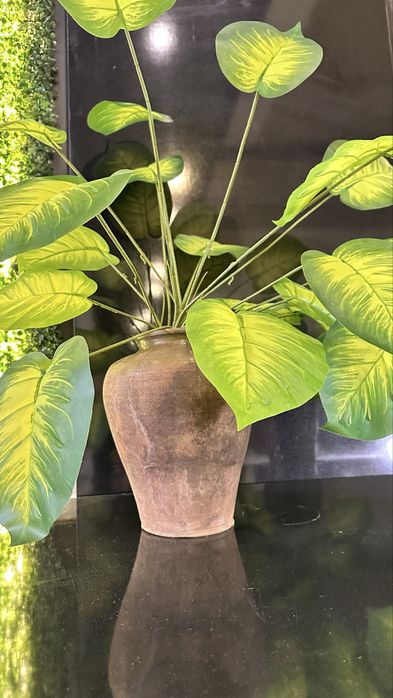 Искусственные  пальмы и диффенбахия