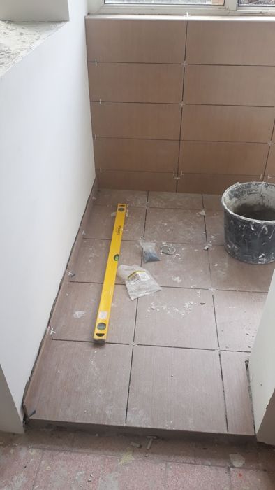 Rapid și profesionalism