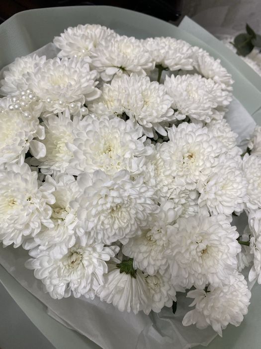 нежный букет хризантемы