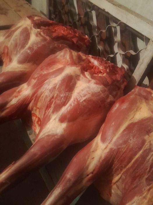 Продается мясо. Согым