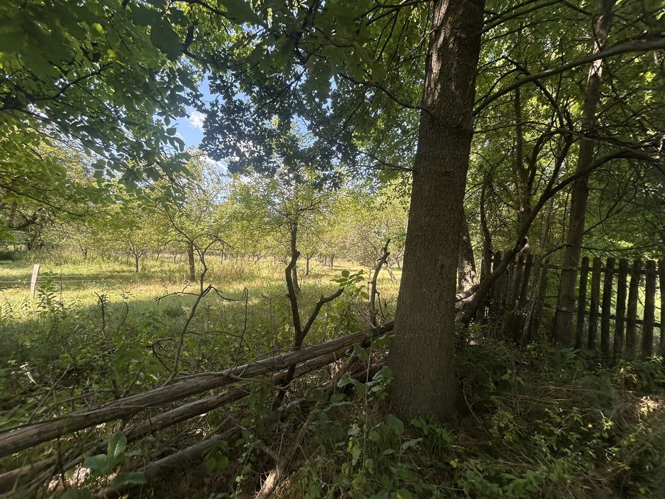 Vand teren 7287 metri patrati in Arges