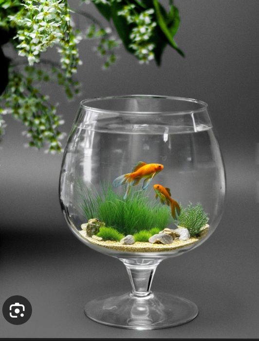 Продам аквариум  цена 6000 тыс