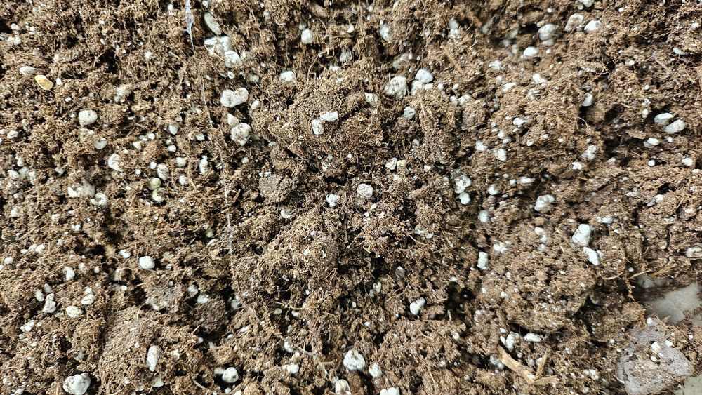 Торф верховой AGRO CS