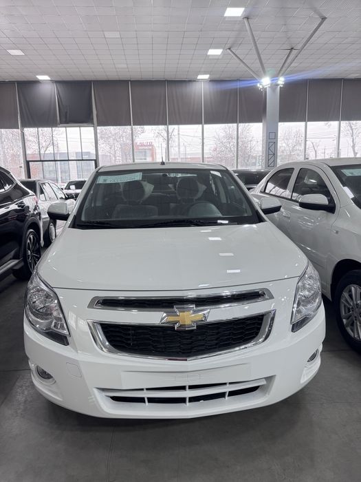 Cobalt style msm 2026