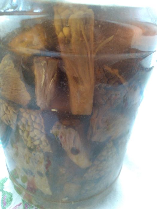 Адамово яблоко лечит