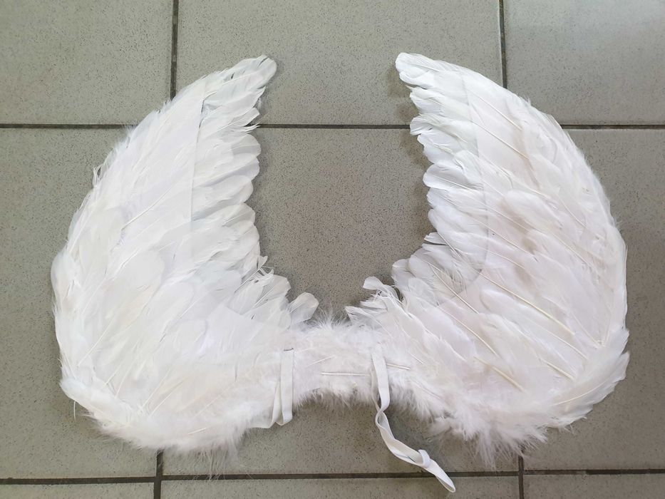 ARIPI fulgi pene COPII imparateasa regina printesa inger fluture zana