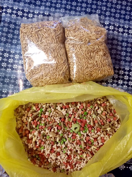 Продам овёс, корм с витаминами.