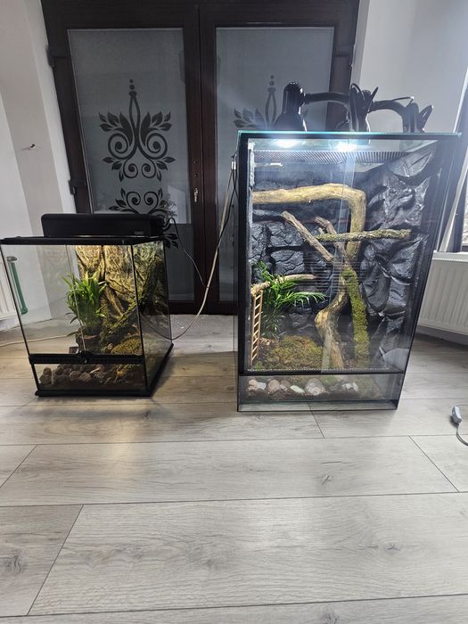 Terarii diferite dimensiuni