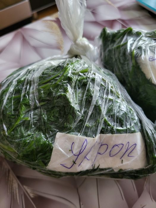 Продам свежий укроп