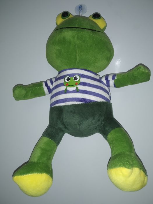 Qizning eng chiroyli mushuklari