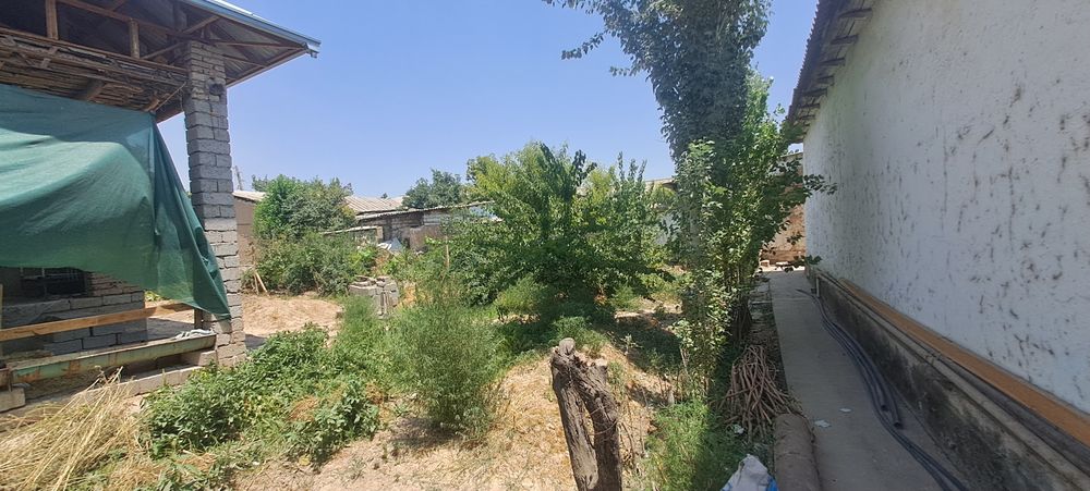 4 сотихли ховли срочно сотилади