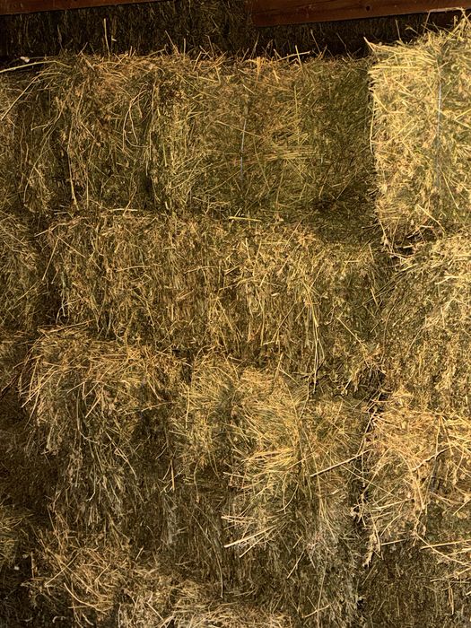 Baloti de fan si lucerna