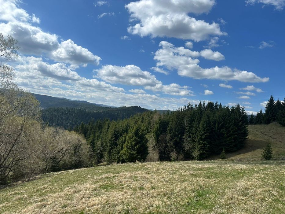 Teren la munte 4717m.p 30000 de euro