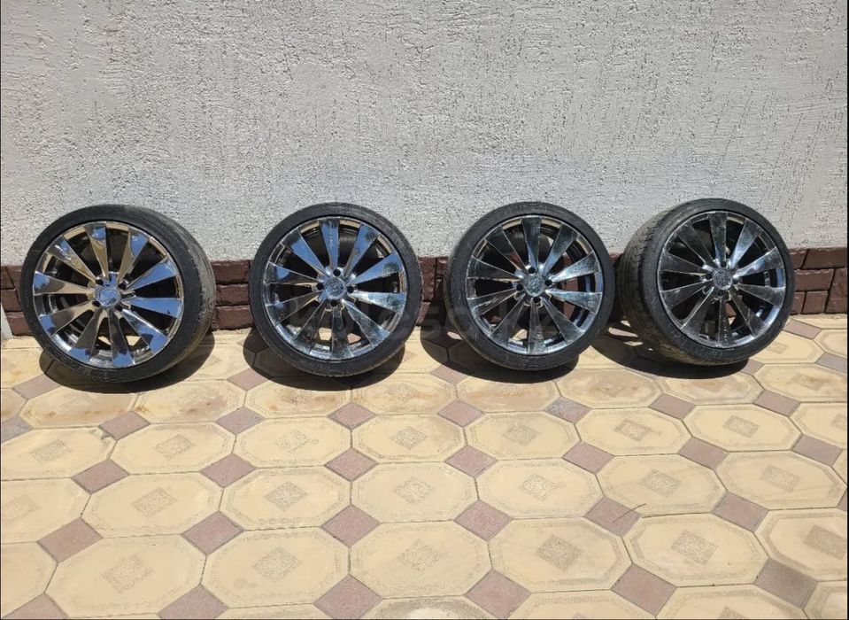 Rays Versus BL-10 Genoma