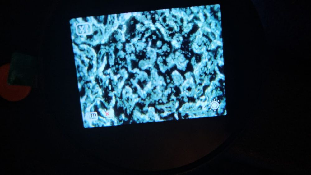 Електронна лупа 500х увеличение