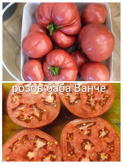 Семена от стари селски нехибридни сортове домати,краставици и други