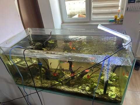 Acvariu complet + pesti