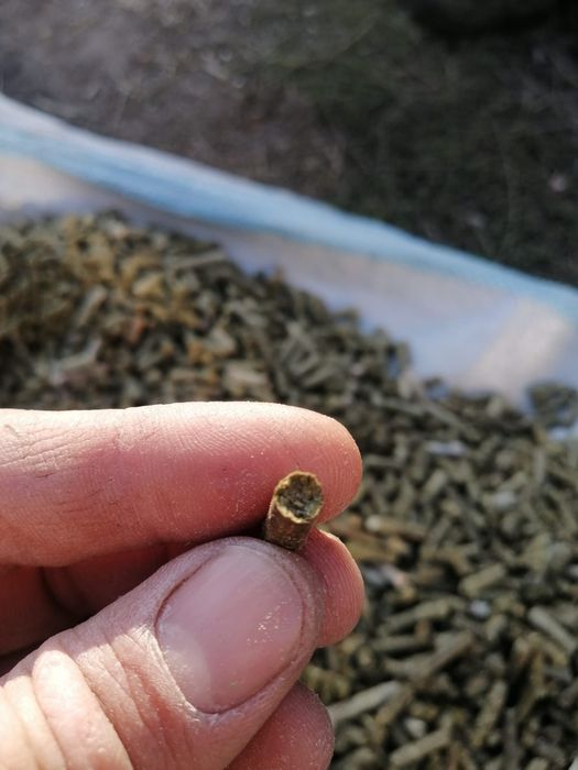 Гранулы сена разнотравие луговое