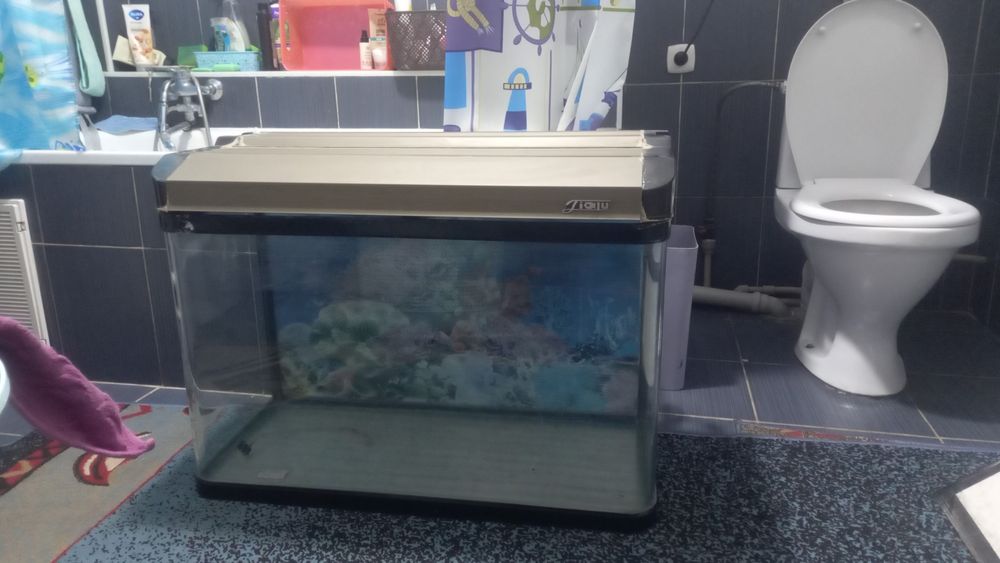 Рыбки аквариумные