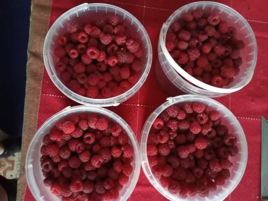 Малина с доставкой на дом