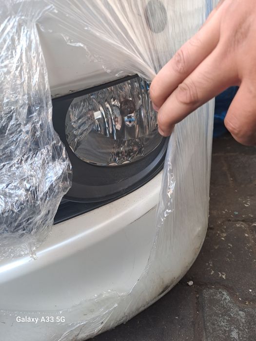 Ноускат для Ипсум