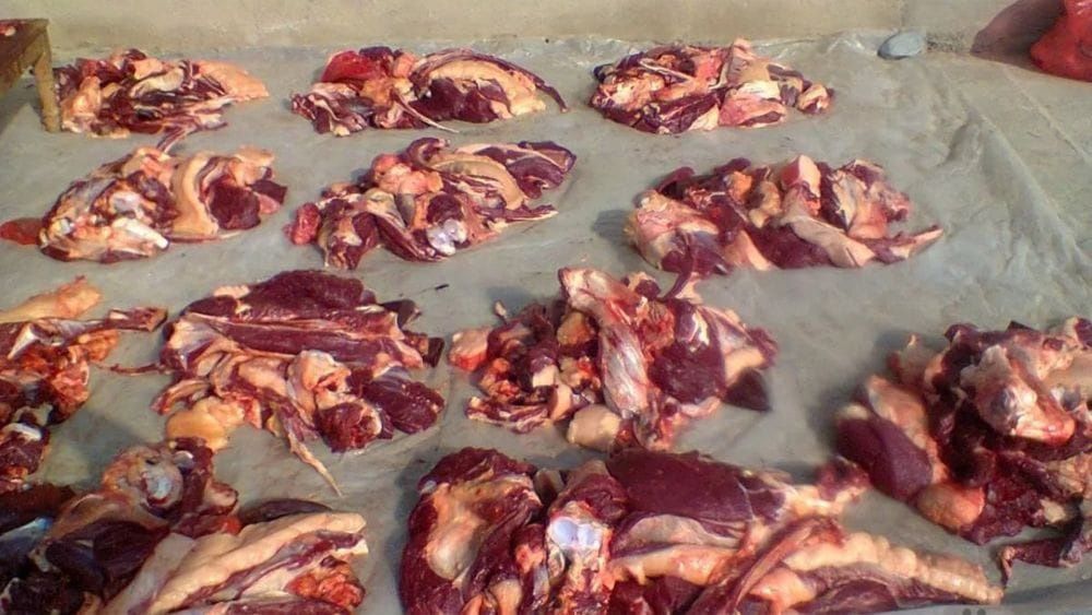 Продам мясо конины аяктап