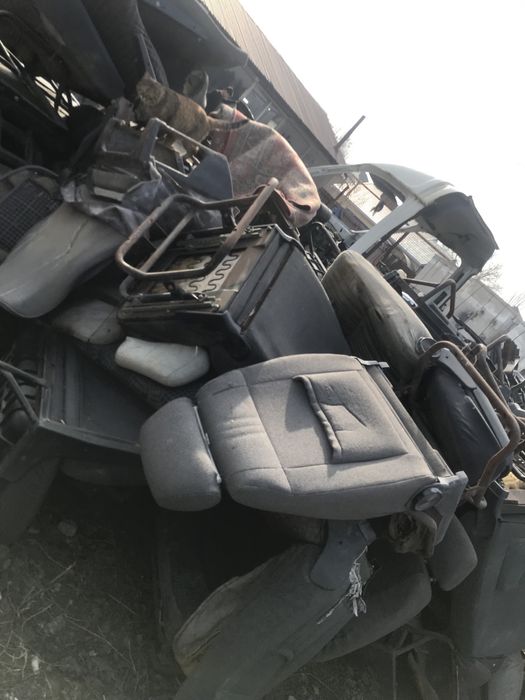 Разбор газельи есть все