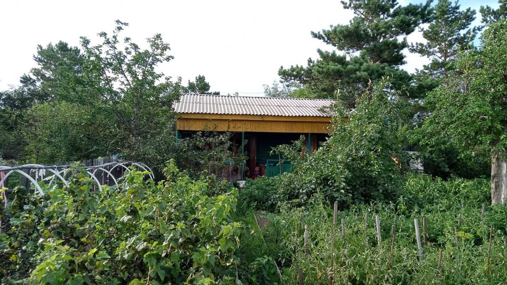 Продам     дачу.