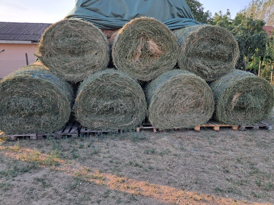 Продавам люцерна