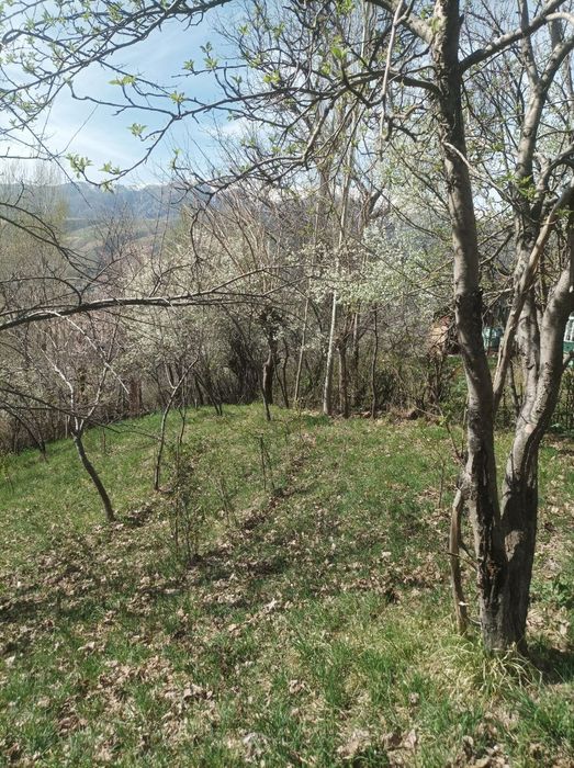 Yer sotiladi srochna 10 sotix Bo'stonliqda