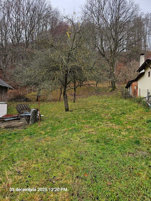 Casa modernizata in Campulung Muscel,padure proprie, toate utilitatile