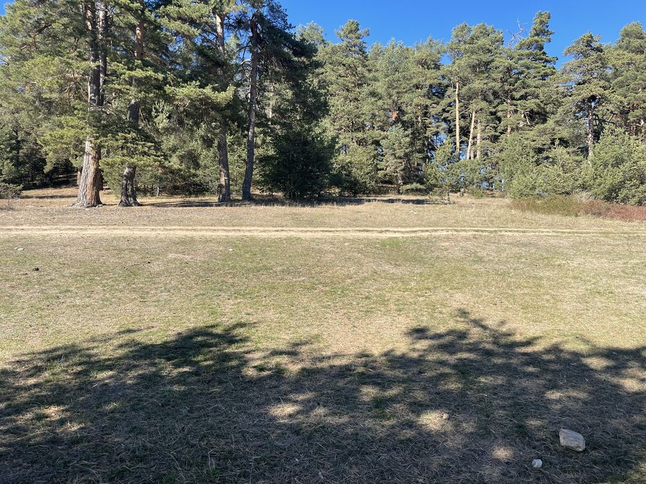 Парцел,земя,град Батак,Цигов Чарк