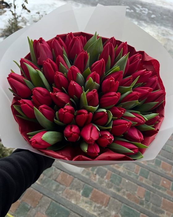 Свежие Тюльпаны (Болленстрик) с Гарантией от Производителя