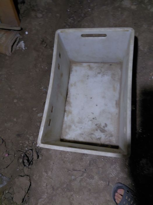 Ящики для колбасных изделий