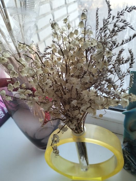 Сухоцветы для творчества