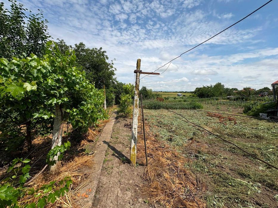 Vand casa din caramida, la strada principala, in Sannicolau Mare